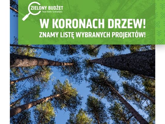 30 projektów zadba o drzewa w Lublinie