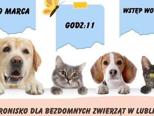 Dzień Otwarty w schronisku w Lublinie. Poznaj zwierzaki i dowiedz się, jak adoptować