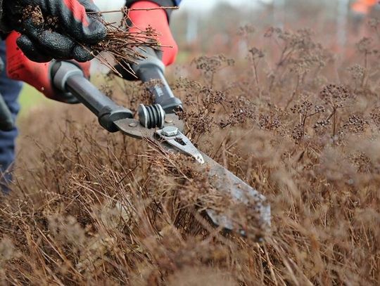 Lublin sprząta po zimie. Ruszyło wielkie wiosenne porządkowanie miasta