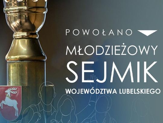 Młodzi wchodzą do gry. Wybrano radnych Młodzieżowego Sejmiku Województwa Lubelskiego