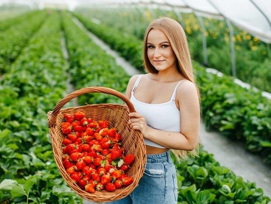 Pochodzenie ma znaczenie - kupujmy polskie truskawki