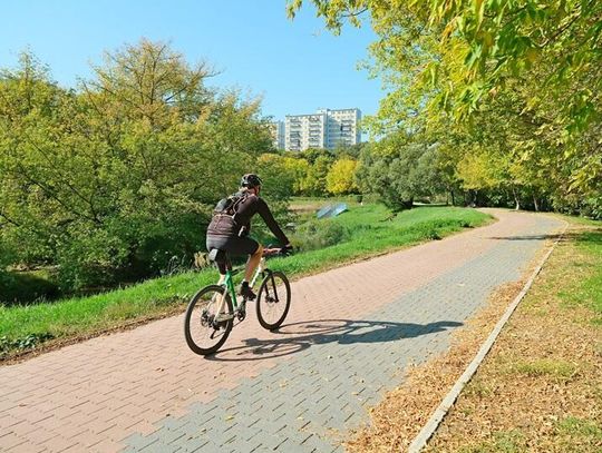 Popularna trasa nad Bystrzycą przejdzie metamorfozę. Aż 11,5 km do przebudowy