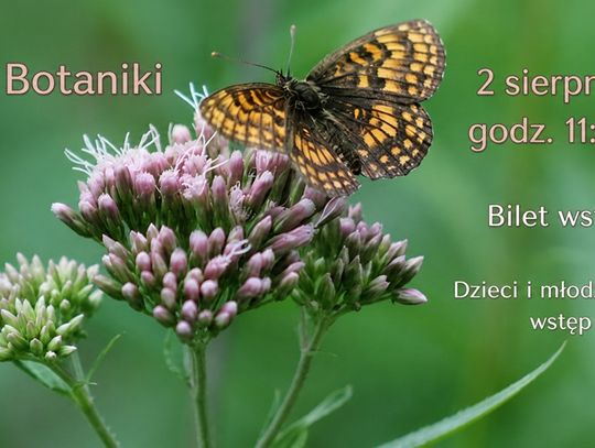 Święto Botaniki wraca do Lublina. Spacery, warsztaty, koncert i kiermasz w Ogrodzie Botanicznym UMCS