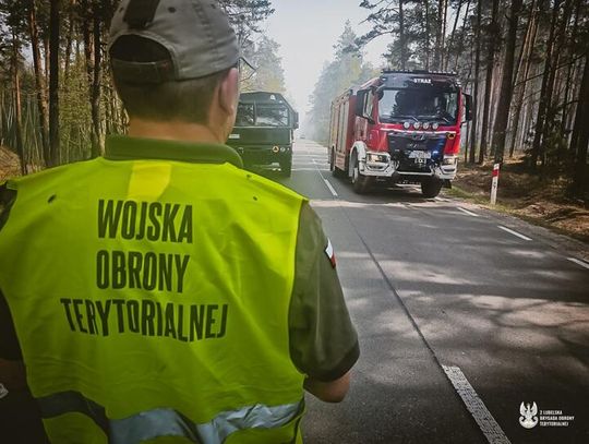 Wojsko ruszyło do walki z ogromnym pożarem w powiecie biłgorajskim. Terytorialsi wspierają strażaków