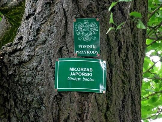 Zielony Lublin z dofinansowaniem unijnym