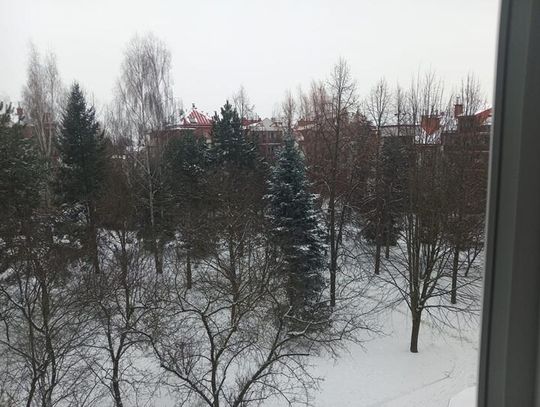 Zima nie odpuszcza Lubelszczyzny. Mróz, śnieg i późniejsza odwilż