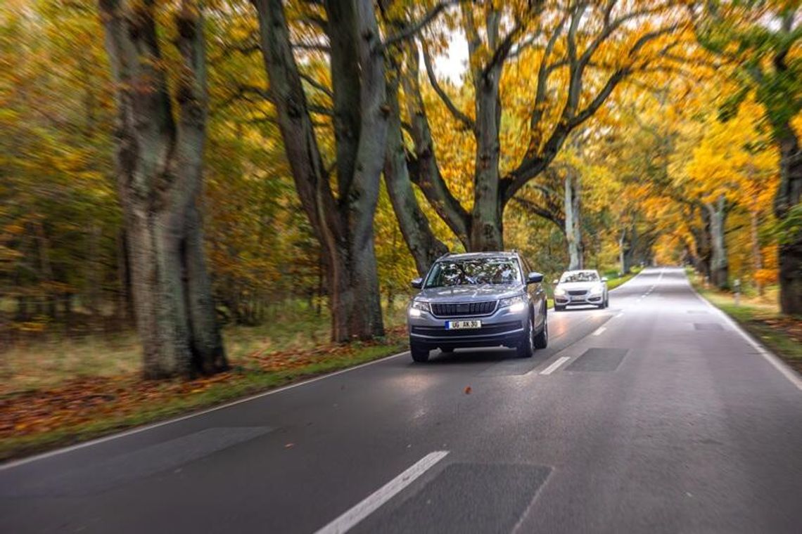 17-latkowie za kierownicą? Ekspert KUL: wiek nie decyduje o dojrzałości 17-latkowie za kierownicą? Ekspert KUL: wiek nie decyduje o dojrzałości