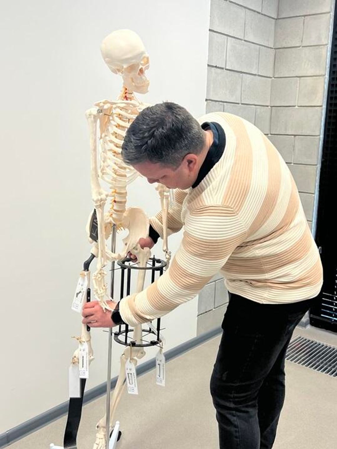 Biomateriały jako przyszłość ortopedii i traumatologii. Tak lekarze będą stabilizować złamania