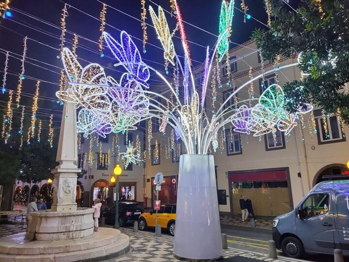 Boże Narodzenie pod palmami. Funchal zachwyca świąteczną iluminacją