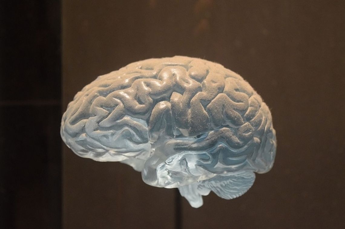 Co się dzieje, gdy niebieskie migdały przejmują kontrolę nad mózgiem