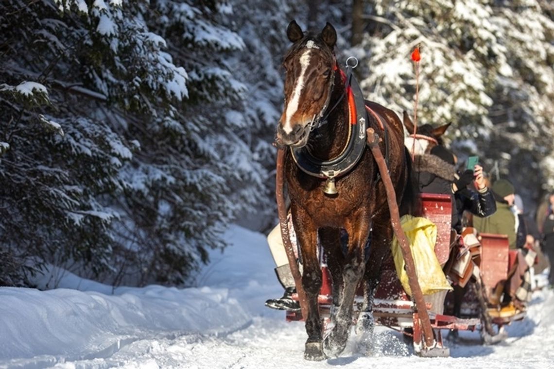 Czego pragnie polski turysta, czyli zimowa laba na bogato