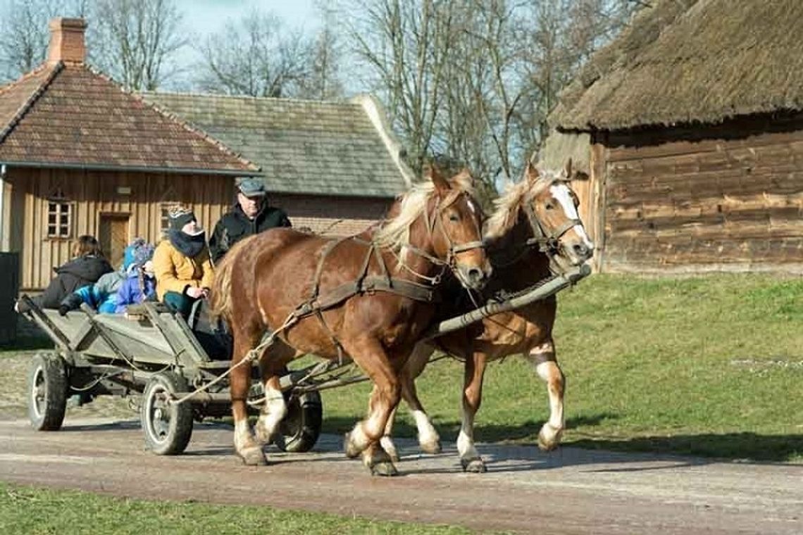 DRUGI TYDZIEŃ FERII ZIMOWYCH W MUZEUM WSI LUBELSKIEJ