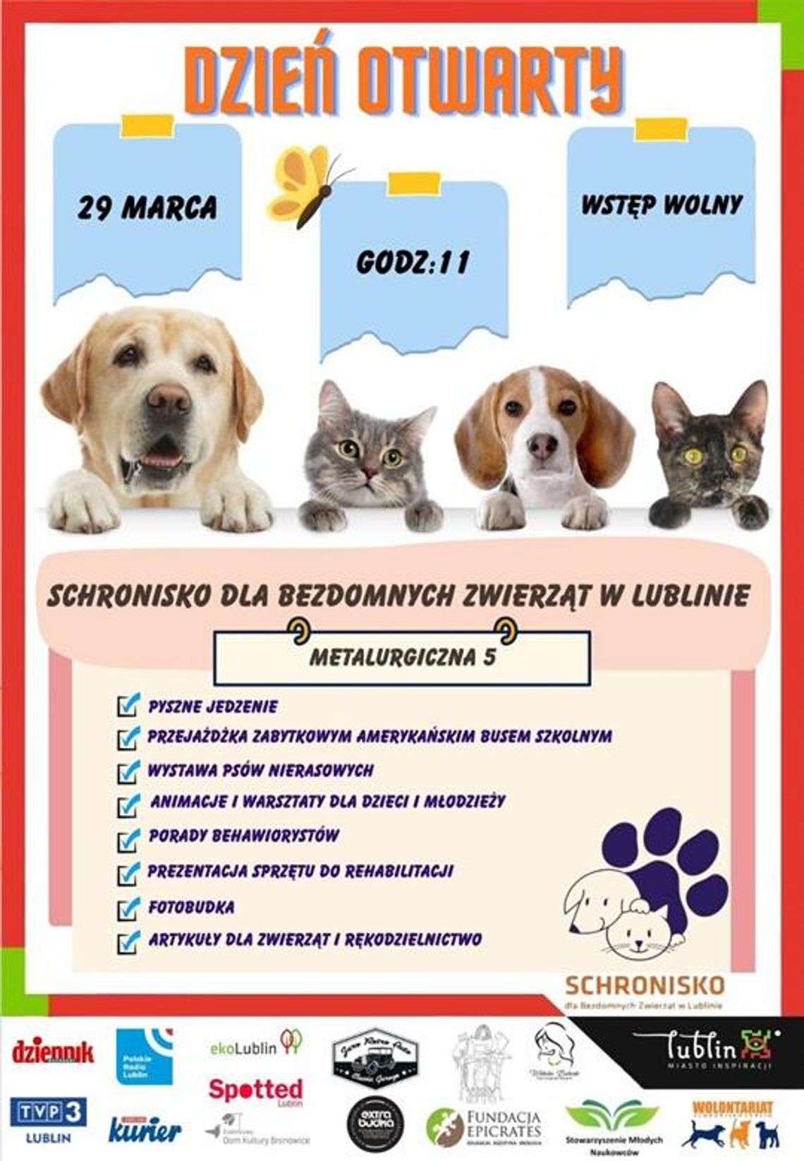 Dzień Otwarty w schronisku w Lublinie. Poznaj zwierzaki i dowiedz się, jak adoptować Dzień Otwarty w schronisku w Lublinie. Poznaj zwierzaki i dowiedz się, jak adoptować
