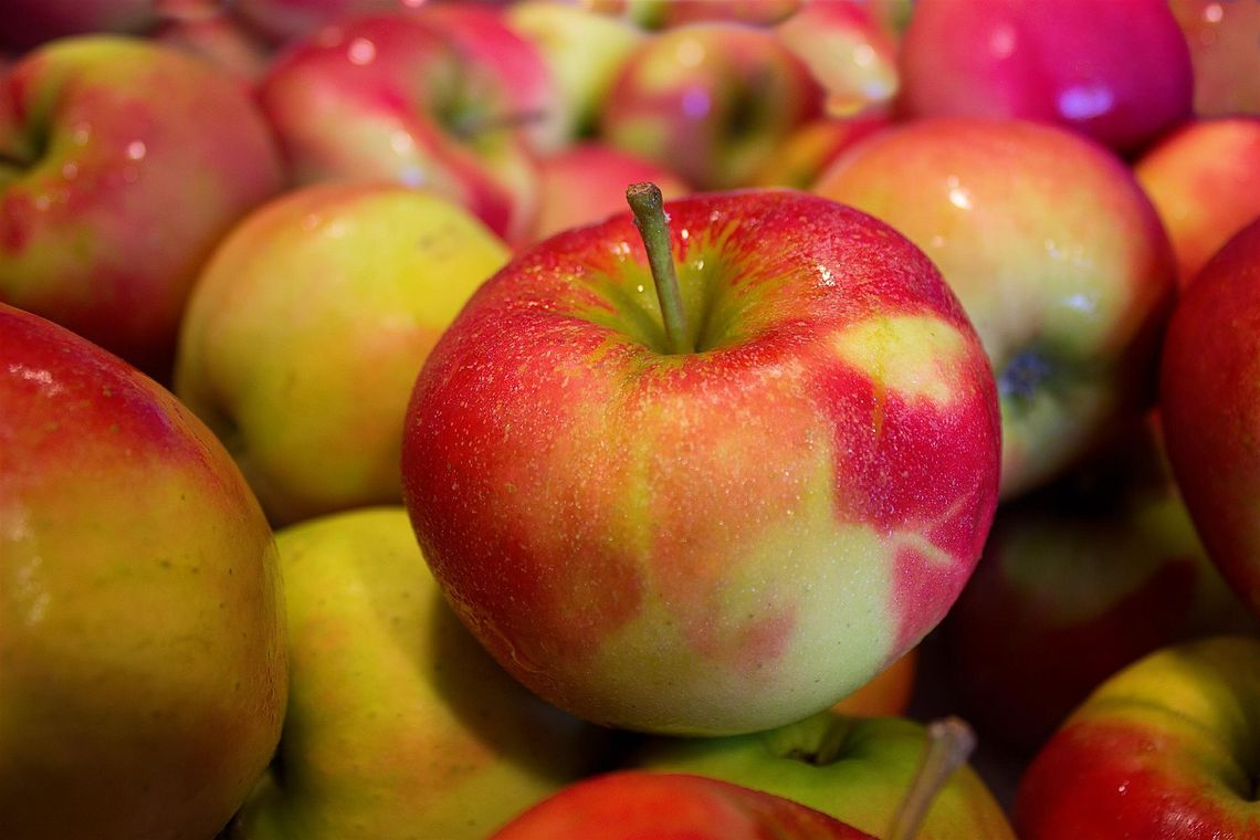 Jabłko Lubelskie podbija kolejne zagraniczne rynki