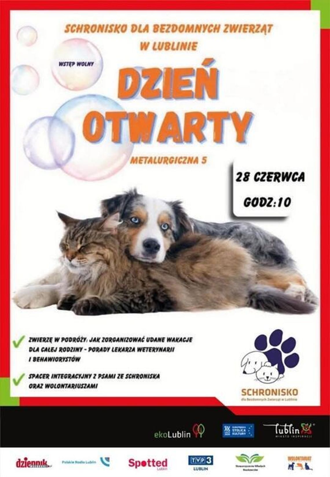 Jak bezpiecznie podróżować z psem lub kotem? Schronisko w Lublinie zaprasza na Dzień Otwarty