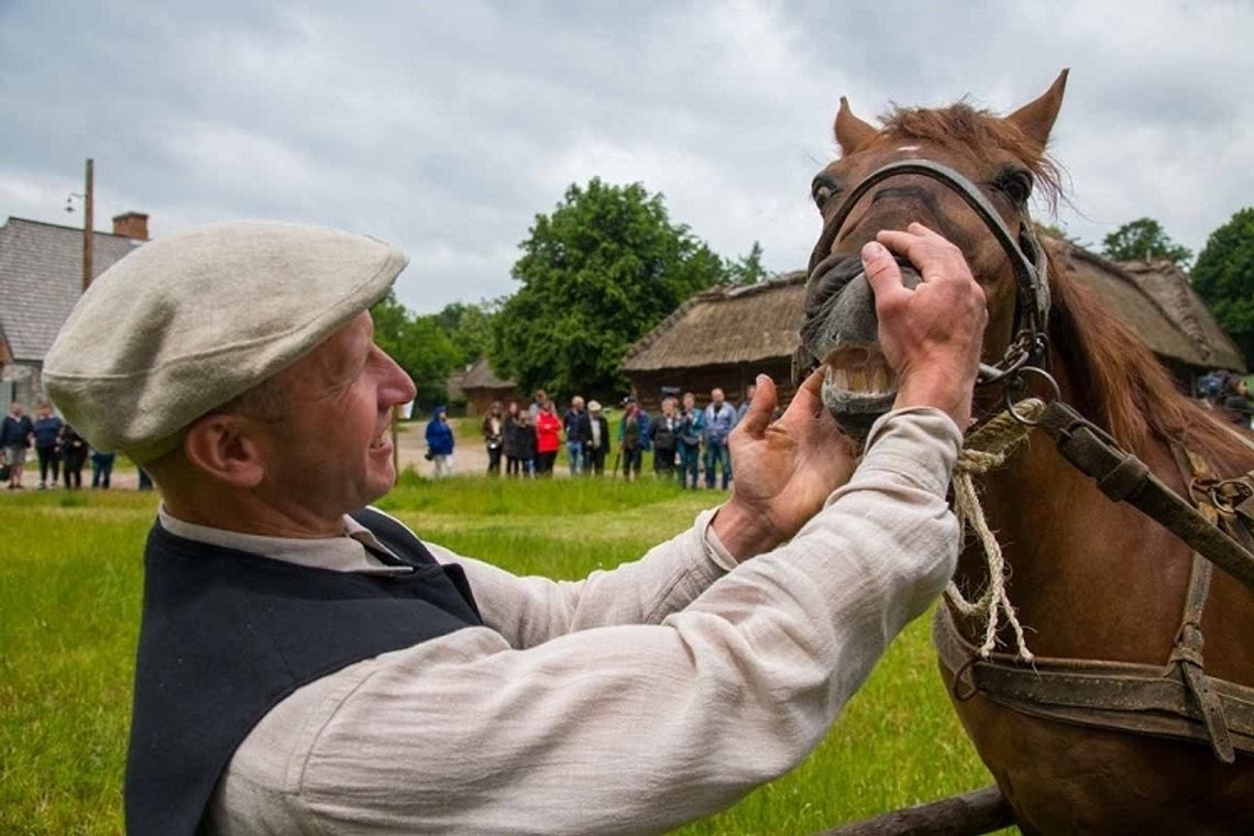 Jarmark koński w niedzielę 18 czerwca