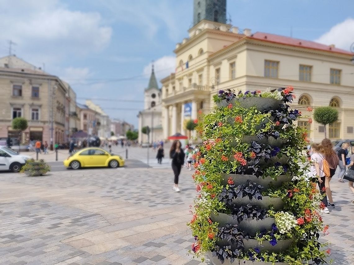 Kwiaty odmieniają Lublin!