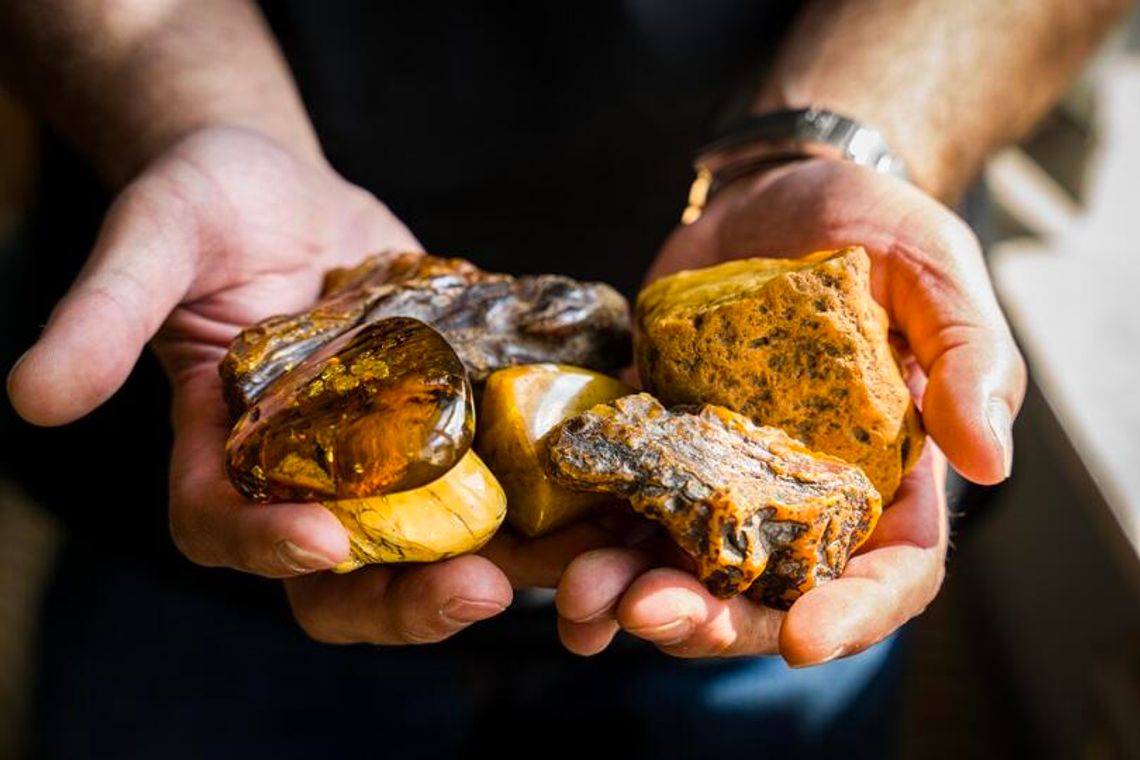 Nie uwierzysz! To nie Bałtyk, a Lubelszczyzna kryje najstarszy bursztyn