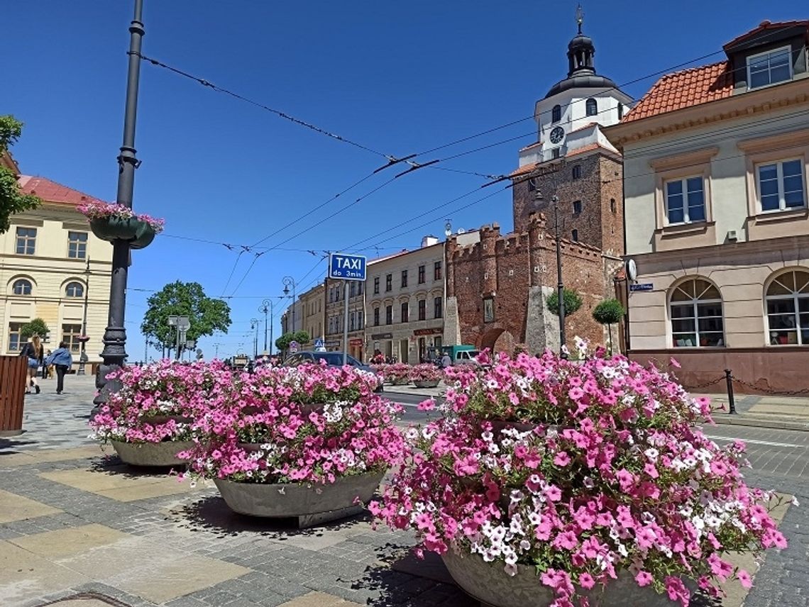Lublin - Letnia odsłona kwietnych kompozycji