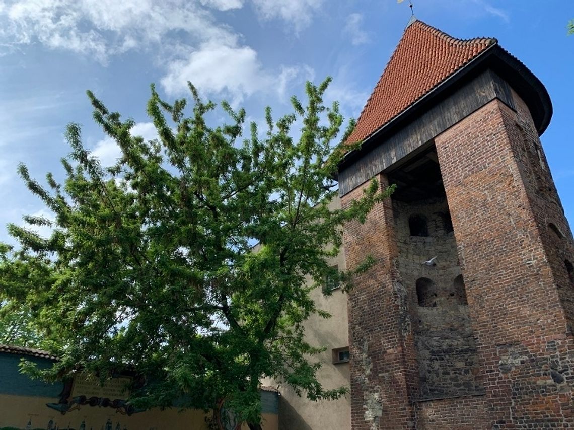 Lublin: Renowacja Baszty Gotyckiej Lublin: Renowacja Baszty Gotyckiej