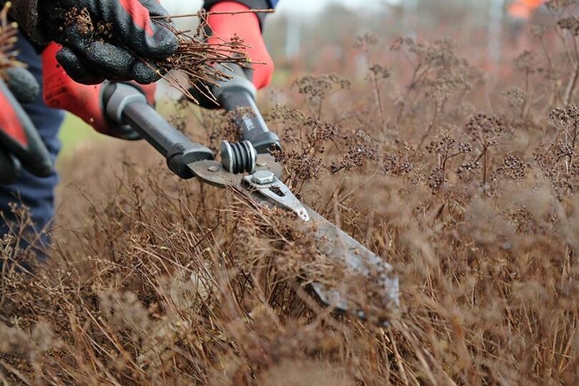 Lublin sprząta po zimie. Ruszyło wielkie wiosenne porządkowanie miasta