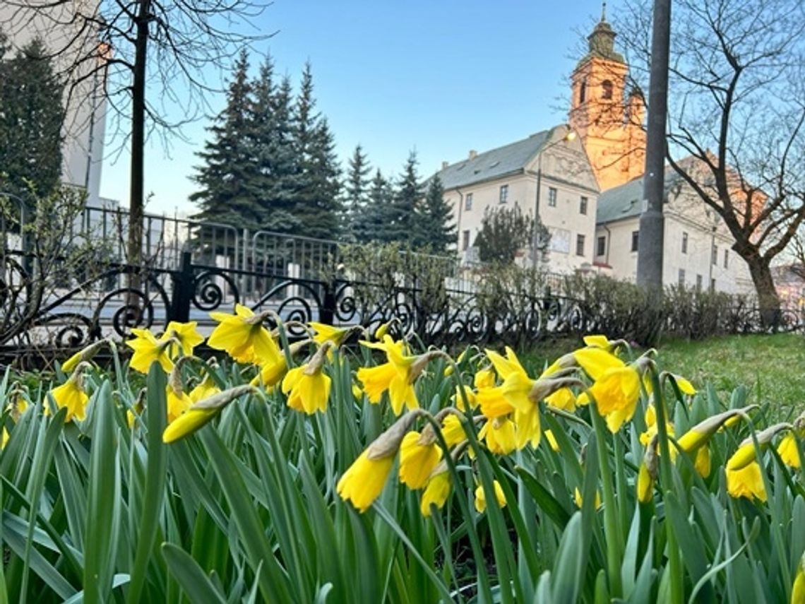 Lublin szykuje się do wiosny. Ruszyło sprzątanie ulic.