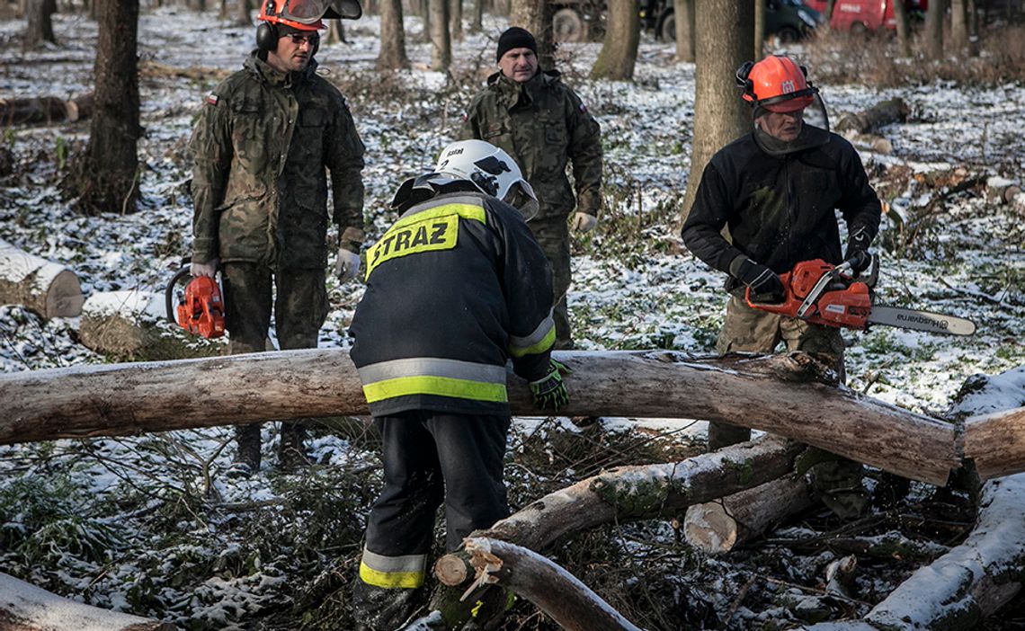 Lublin: Terytorialsi i strażacy na wspólnym szkoleniu
