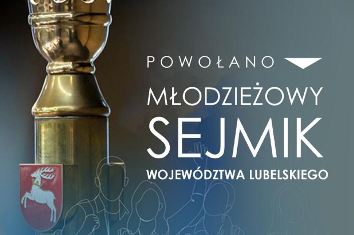 Młodzi wchodzą do gry. Wybrano radnych Młodzieżowego Sejmiku Województwa Lubelskiego