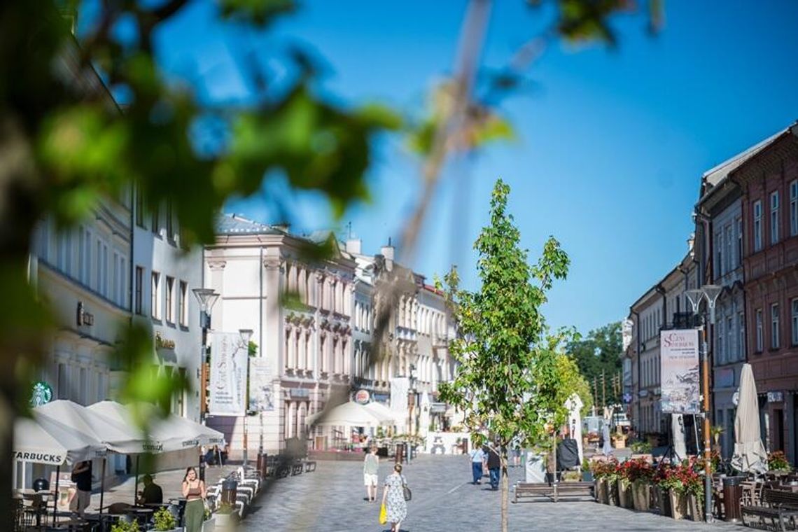 Na deptaku posadzono już 10 nowych drzew. Zastąpiły chore platany