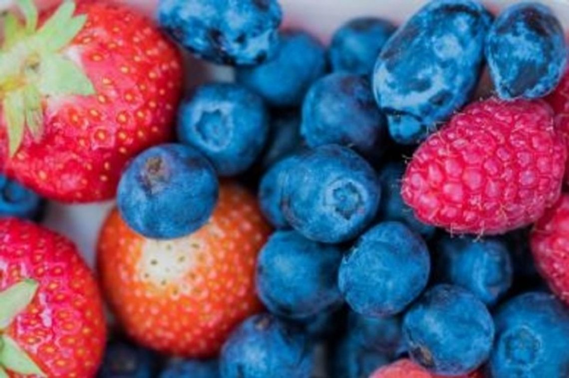 Owoce jagodowe a odporność – co warto wiedzieć