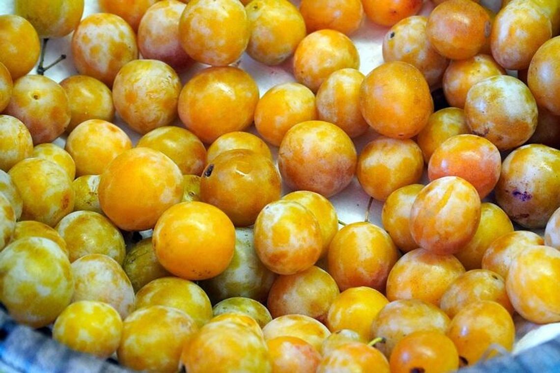 Soczysty sierpień – smaki owoców, które musisz zjeść teraz. 4 proste przepisy