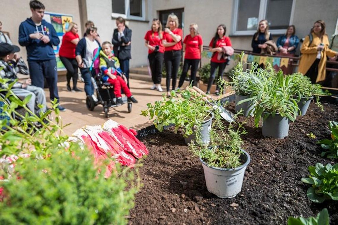 Pierwszy w Lublinie ogród społeczny już otwarty