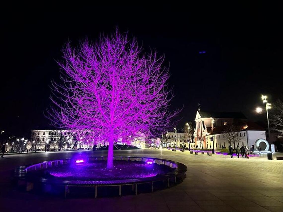 Plac Litewski w dwóch odsłonach. Najpierw barwy wolnej Białorusi, potem fiolet wsparcia Plac Litewski w dwóch odsłonach. Najpierw barwy wolnej Białorusi, potem fiolet wsparcia