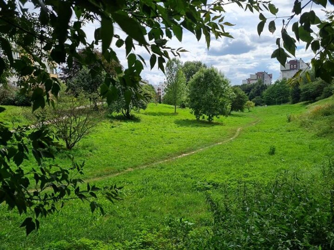 Polana Centralna z miejskim sadem i „żywą” architekturą.