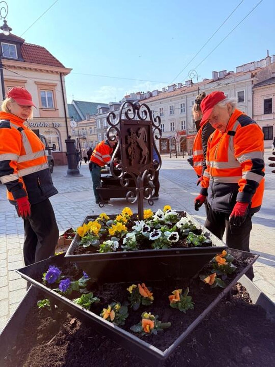 Ponad 8,6 tys. bratków ozdobi centrum miasta. Ruszyły wiosenne nasadzenia