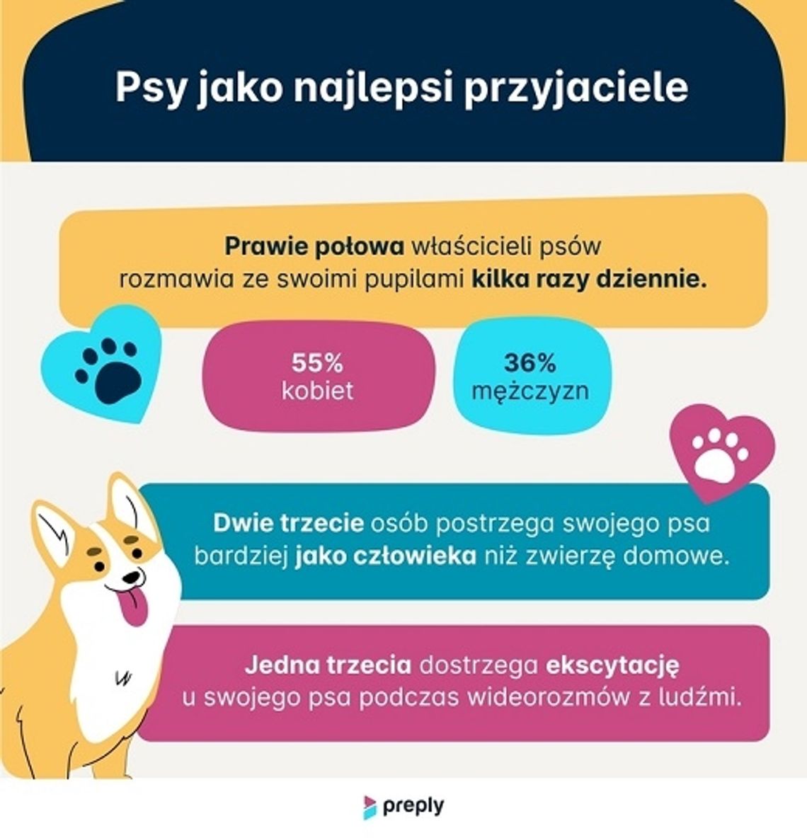 Psy rozumieją nas lepiej niż partnerzy i są na to dowody - badanie Preply