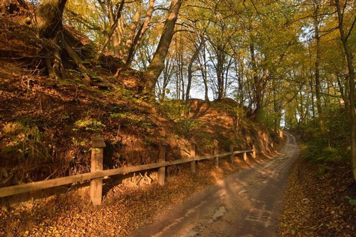 Rowerem po Lubelskim - Kazimierz Dolny - Janowiec