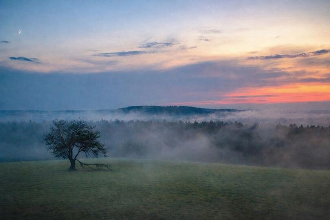 „Roztocze - kraina niezwykła”. Nostalgiczna wystawa zdjęć Ewy Marszalec w Hotelu Zamojskim
