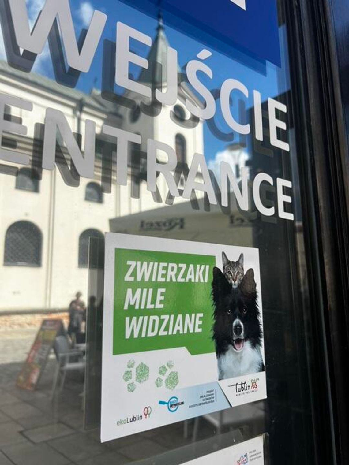 Rusza kolejny nabór do akcji „Miejsce przyjazne zwierzętom” w Lublinie