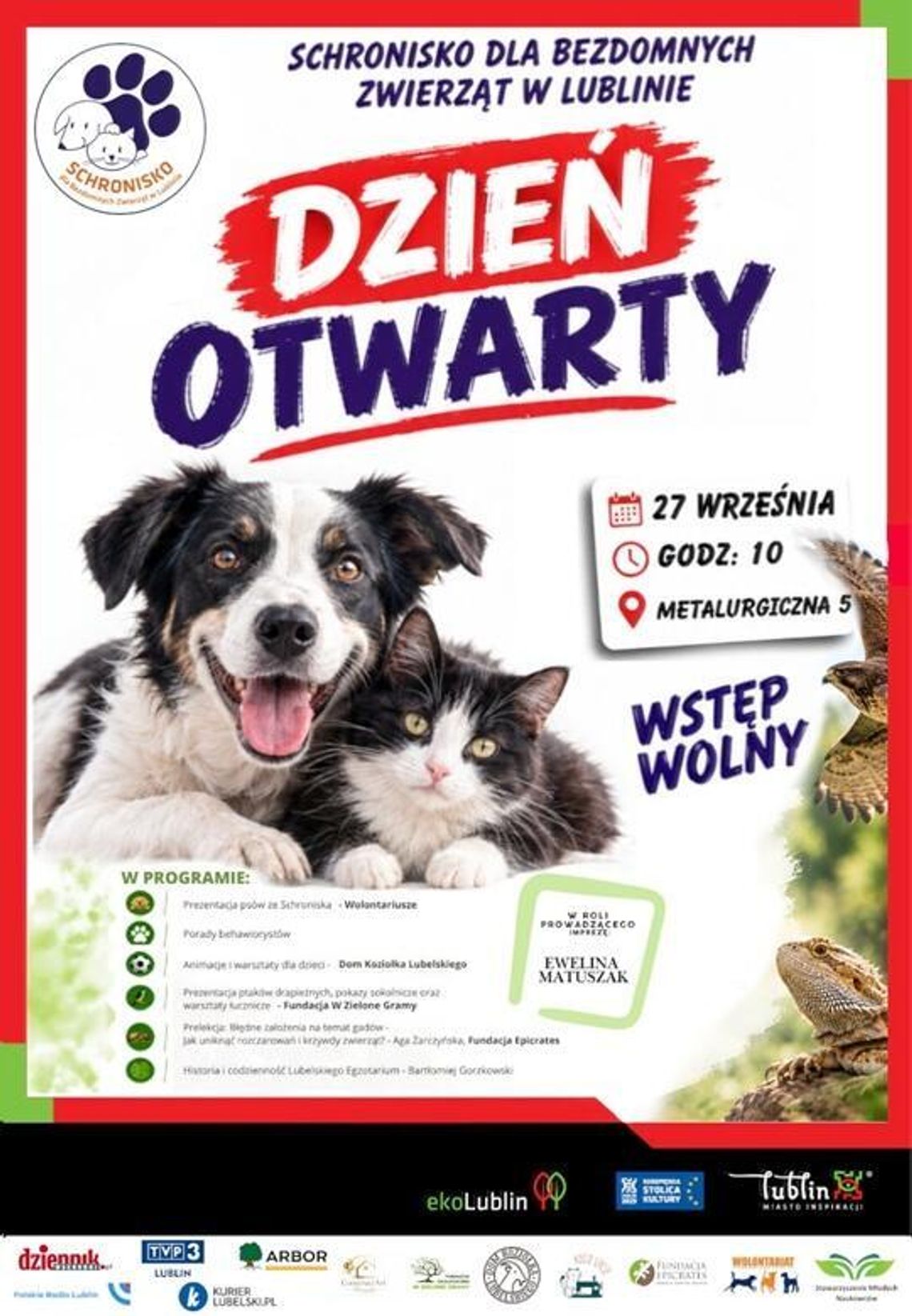 Schronisko w Lublinie otwiera swoje drzwi. Będzie można poznać zwierzęta czekające na dom Schronisko w Lublinie otwiera swoje drzwi. Będzie można poznać zwierzęta czekające na dom