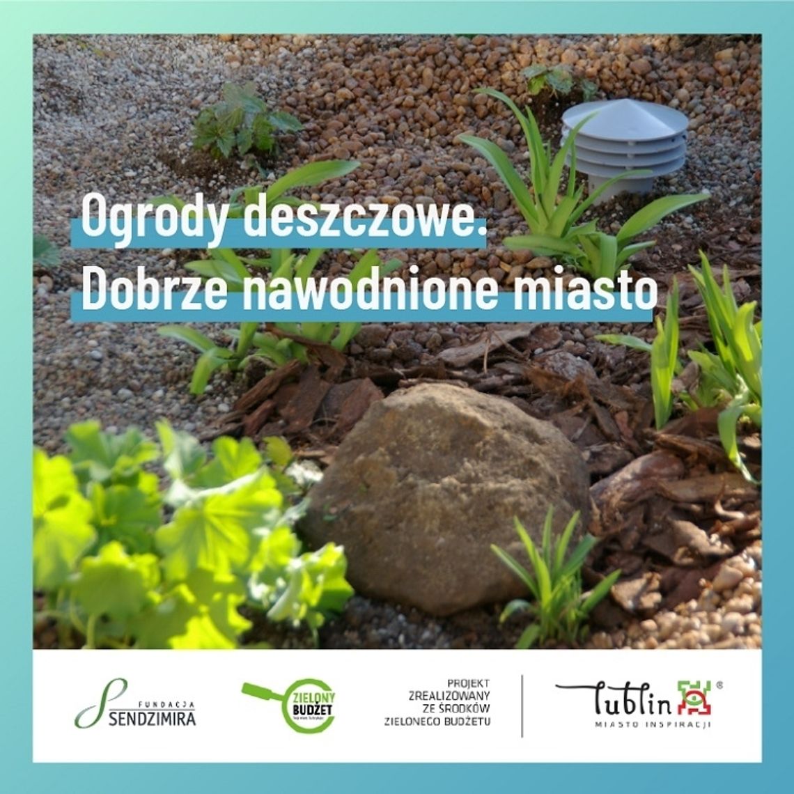 W Lublinie powstaną ogrody deszczowe