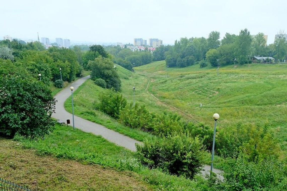 Wąwóz Pokolenia – zielony i naturalny.