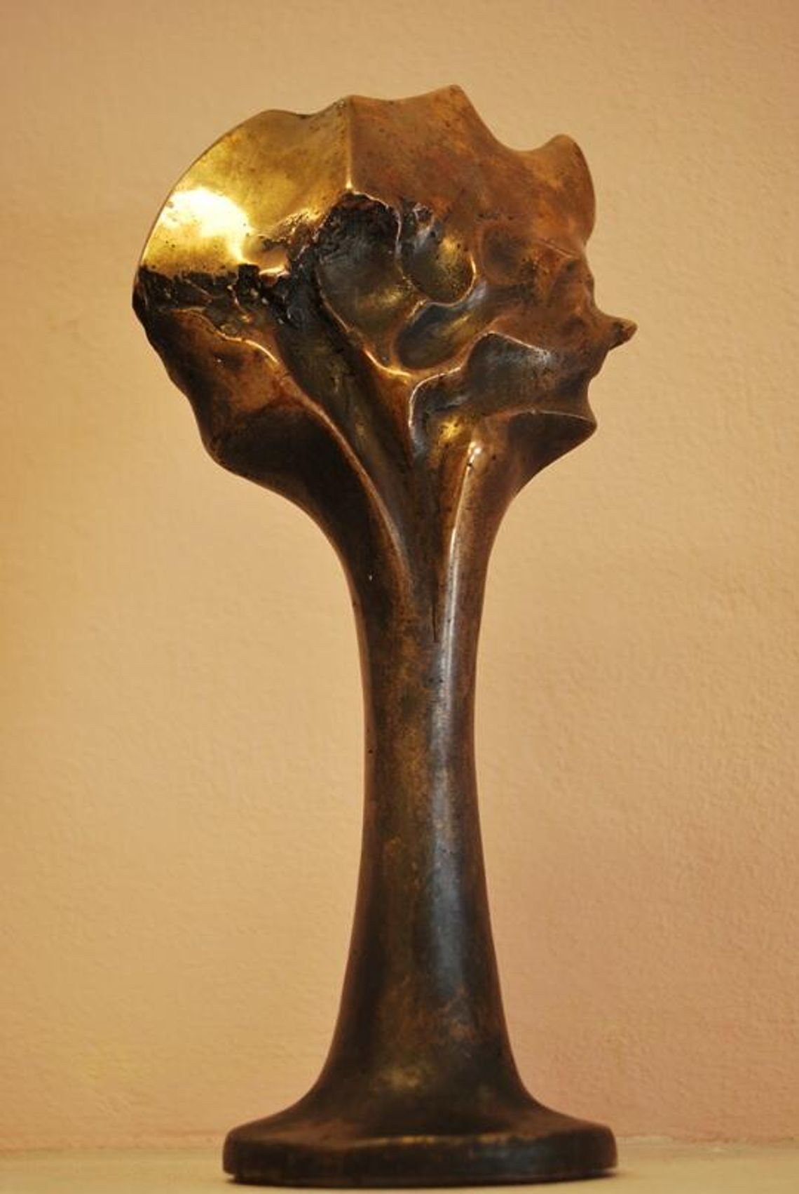 Znamy nominowanych do Nagród Miasta Lublin za 2024 rok