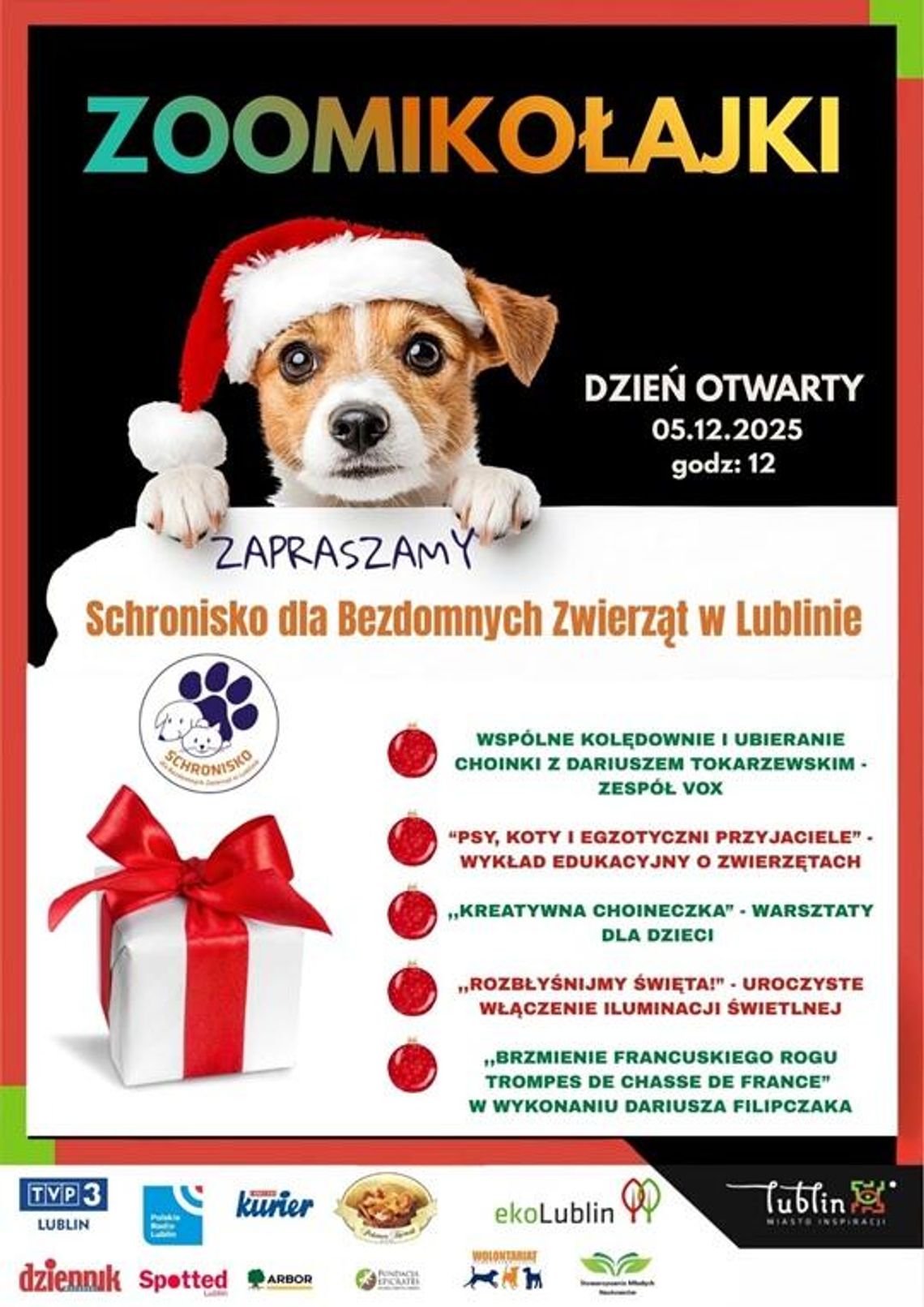 „Zoomikołajki” w lubelskim schronisku: świąteczne atrakcje i promocja adopcji zwierząt