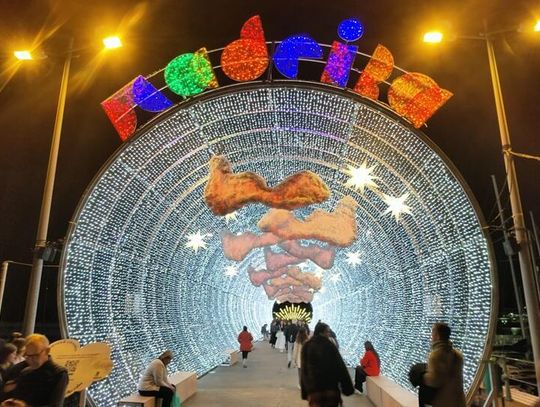 Boże Narodzenie pod palmami. Funchal zachwyca świąteczną iluminacją